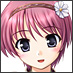 twitter_icon